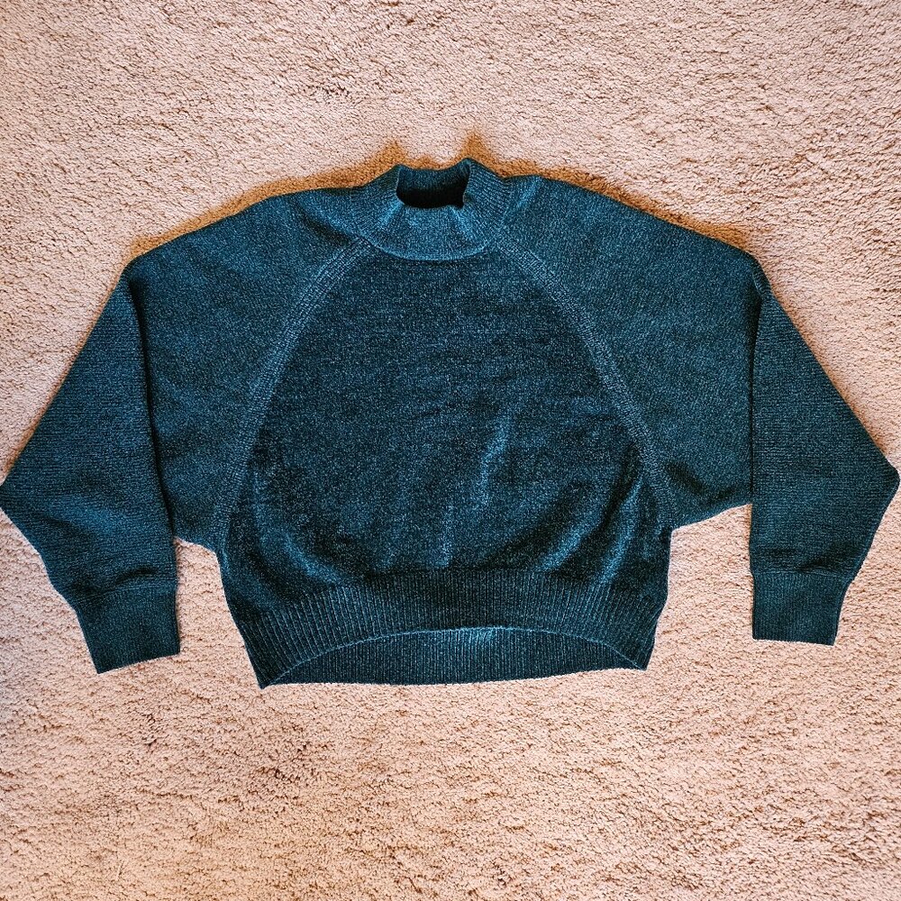 Express Velvet Mock Neck Cropped Sweater